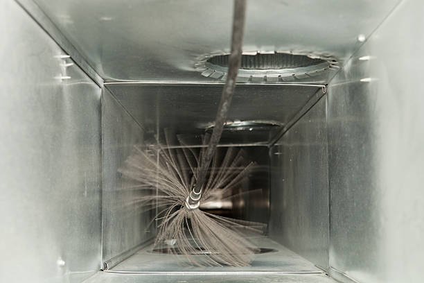 Best Professional Duct Cleaning Services  in Farmington, MS